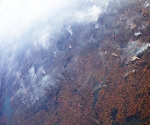 歐洲太空總署監測 2019巴西亞馬遜大火面積與長期平均相去不遠