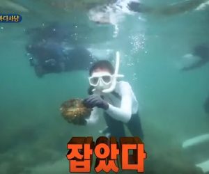泰國潛水猛拔巨蚌 韓女星嗨喊「抓到了」觸法涉5年刑期